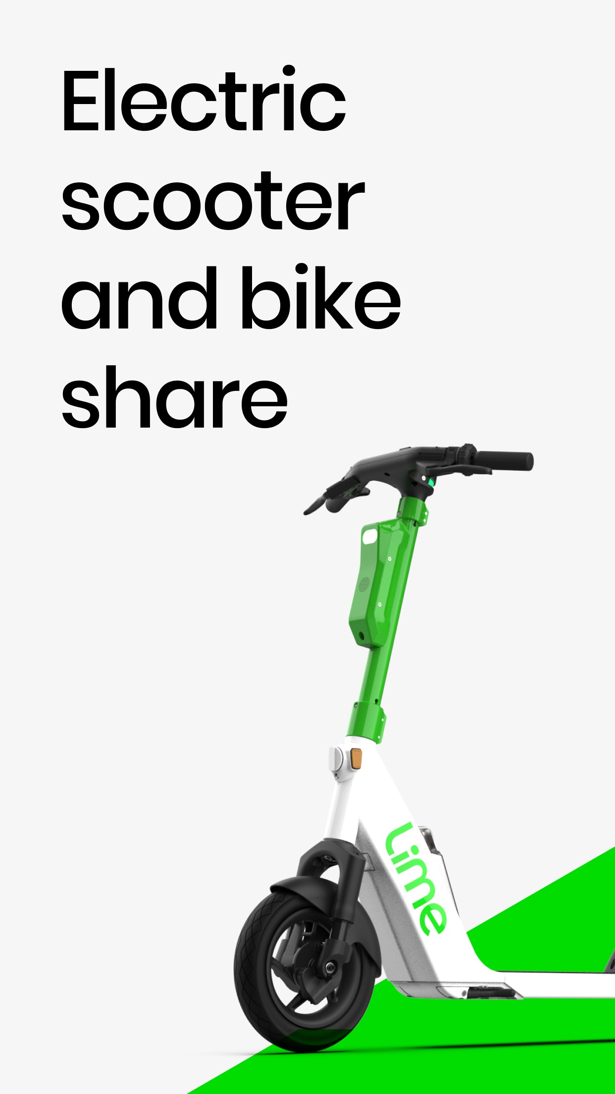 Lime, image 2