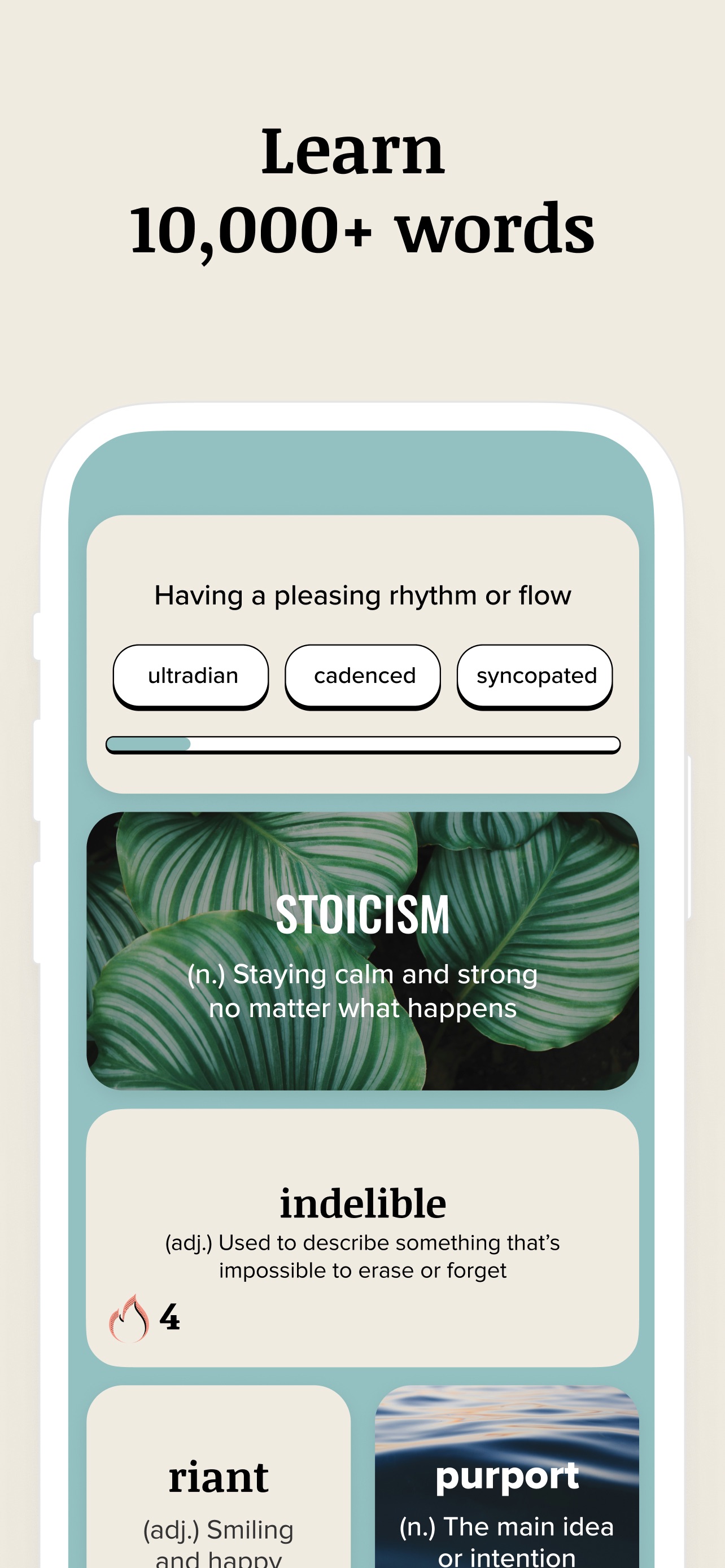 Vocabulary, image 2
