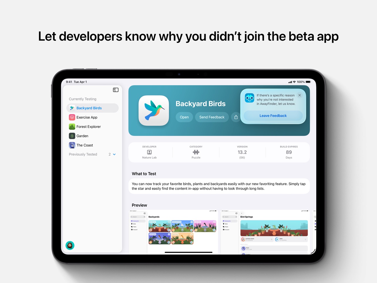 TestFlight, image 10