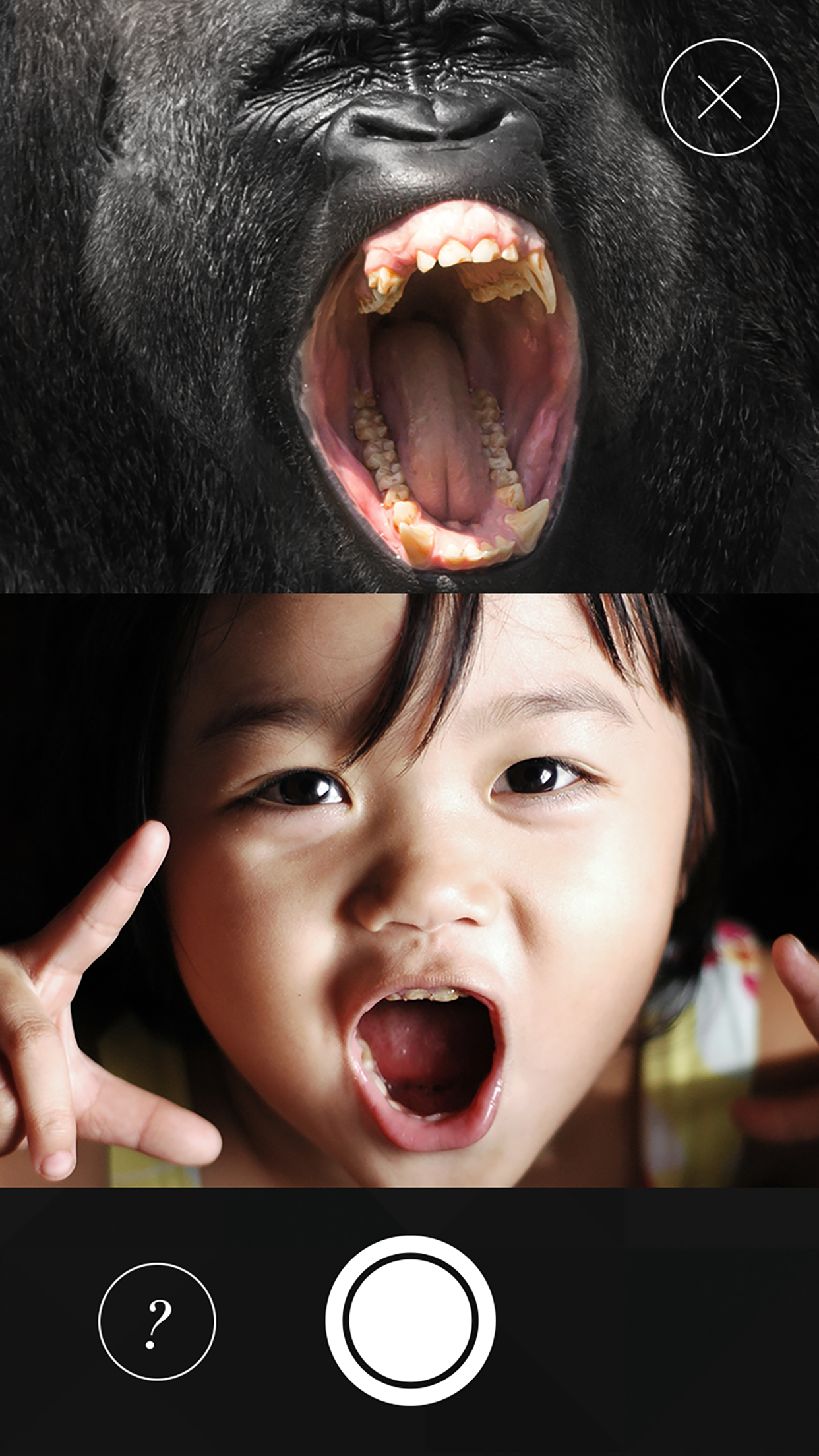WWF Together, image 4