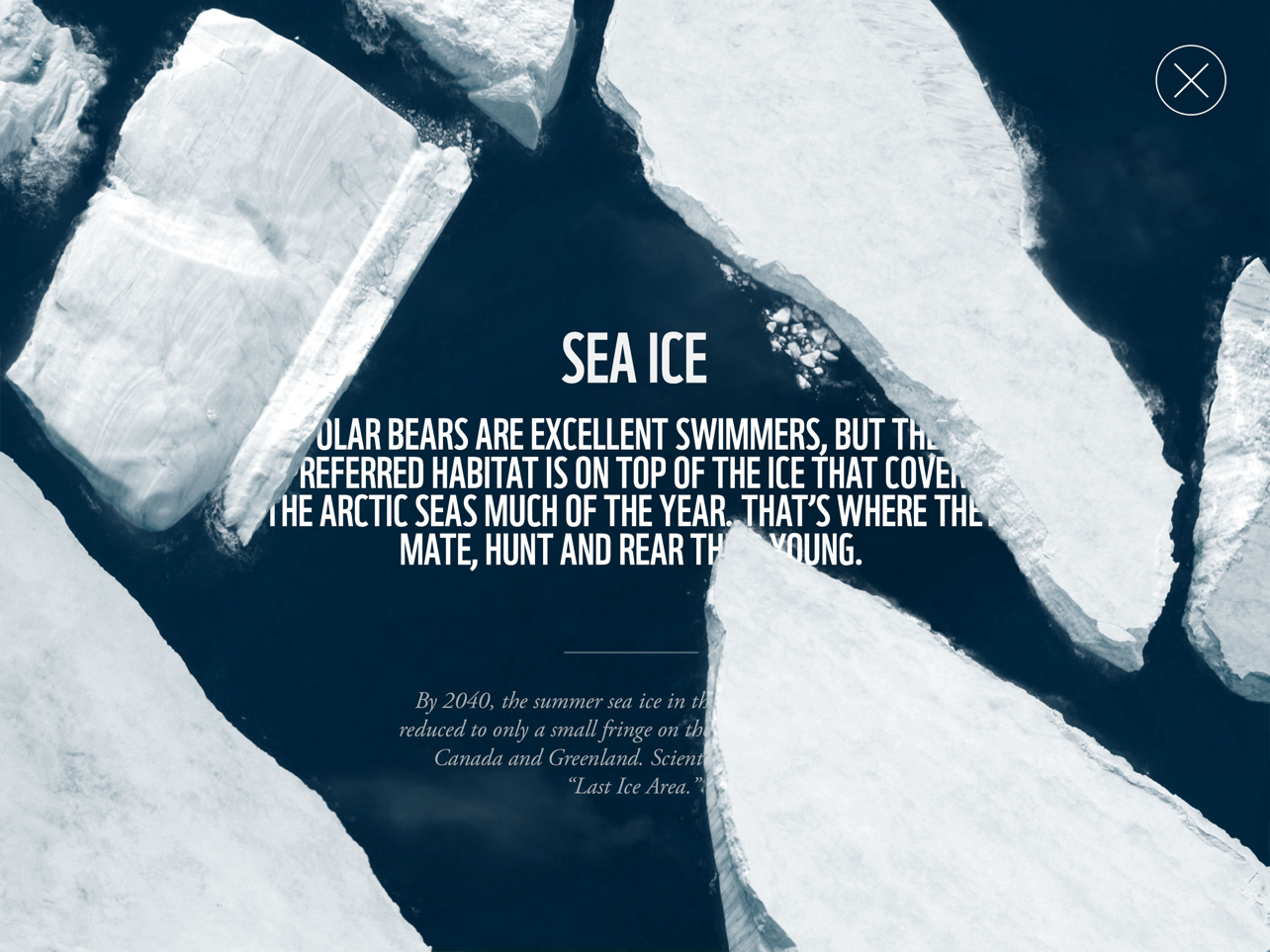 WWF Together, image 10
