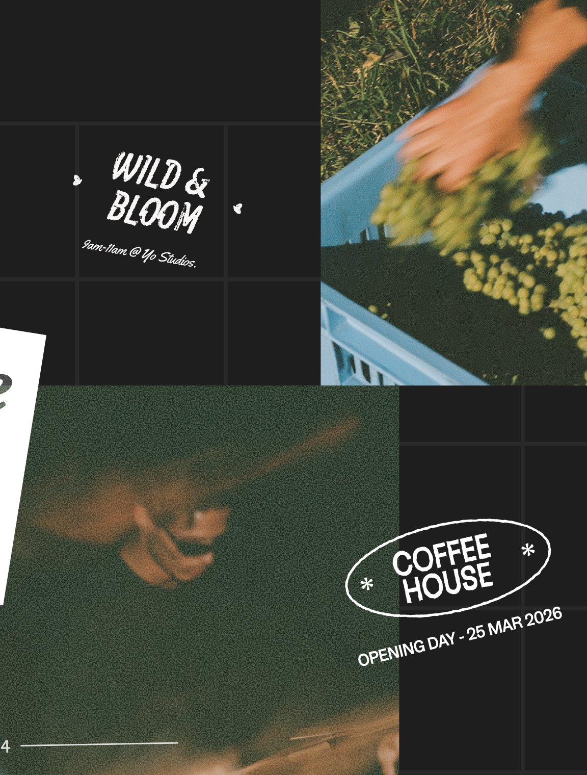 Design system and brand collateral collection, image 3