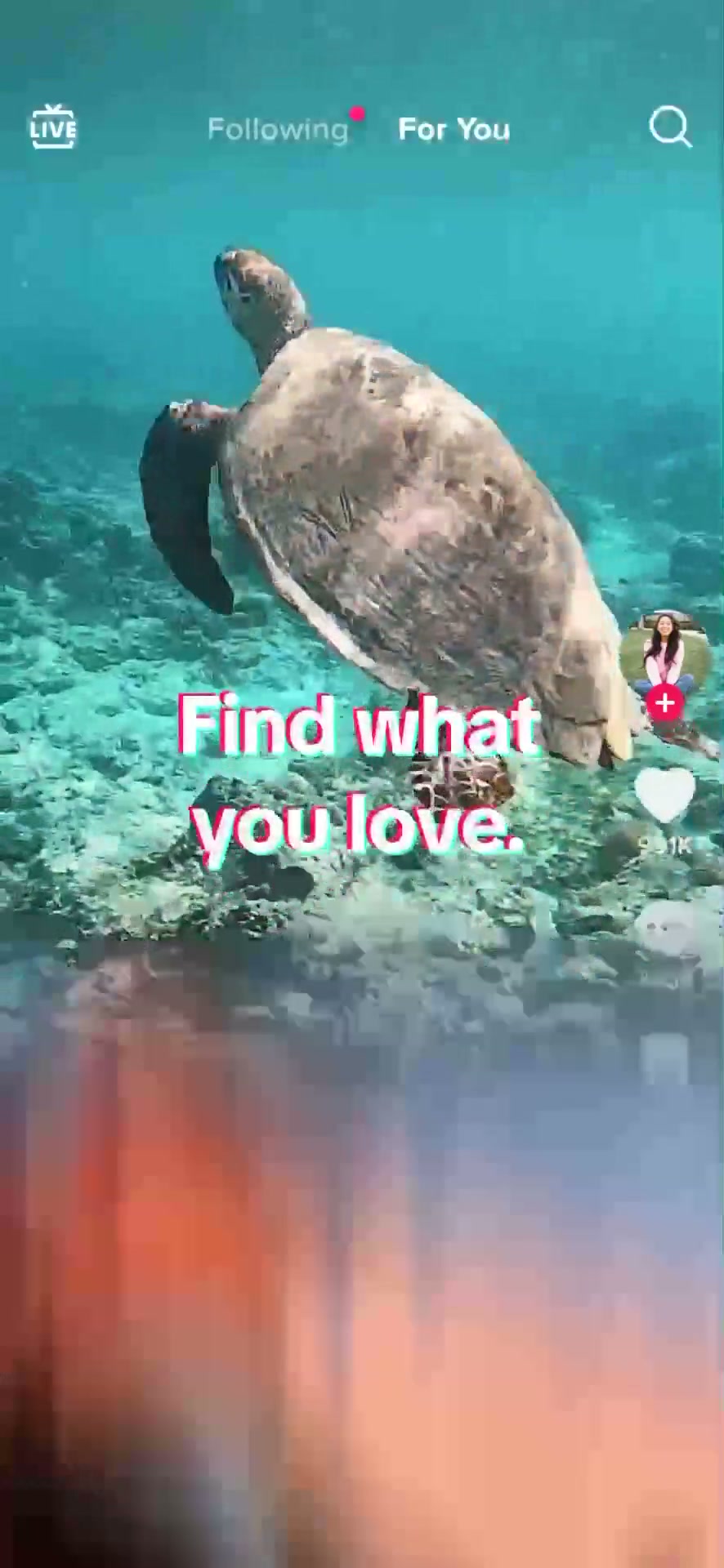 TikTok - Videos, Shop & LIVE