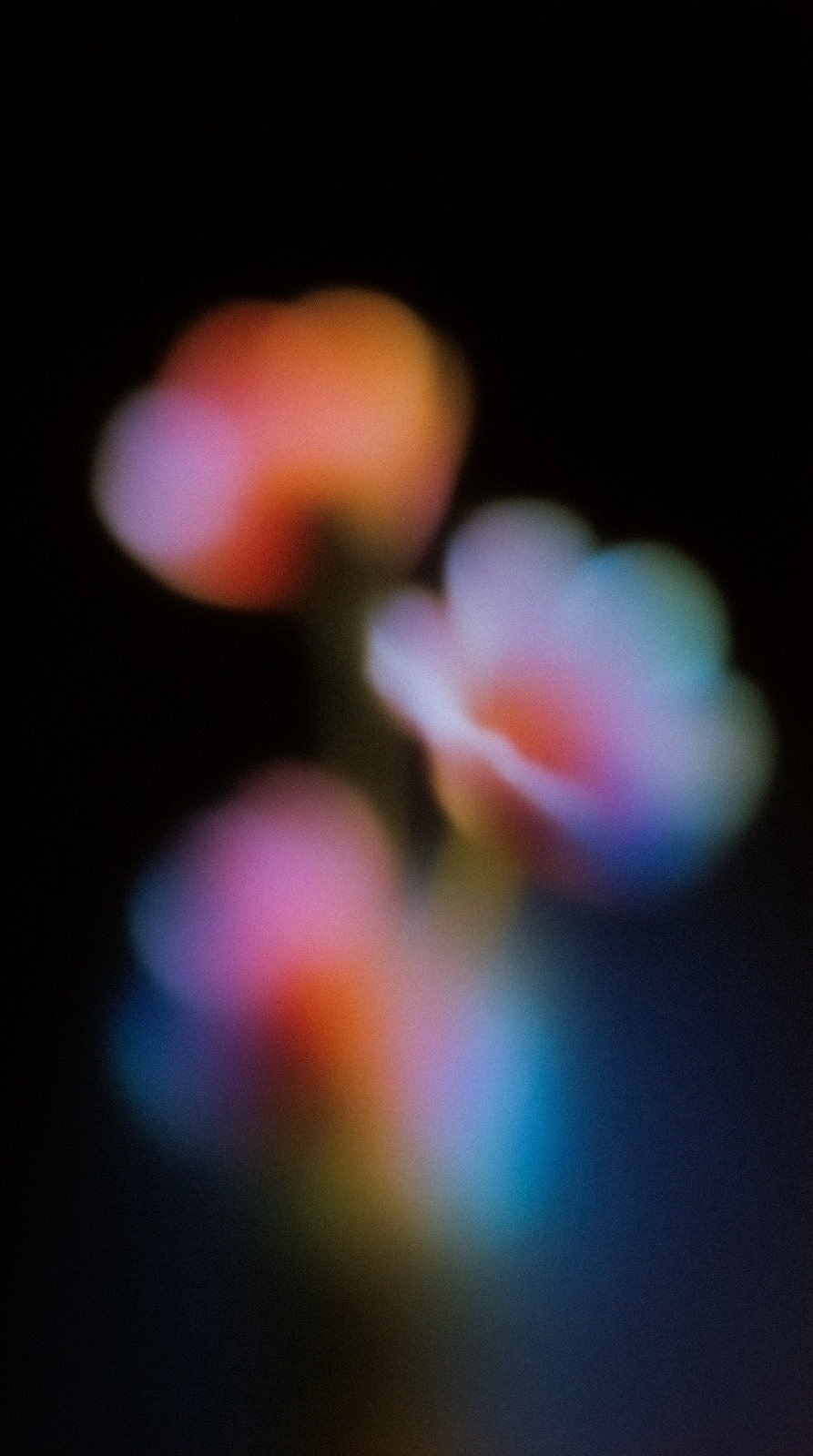 Abstract flower study, image 3