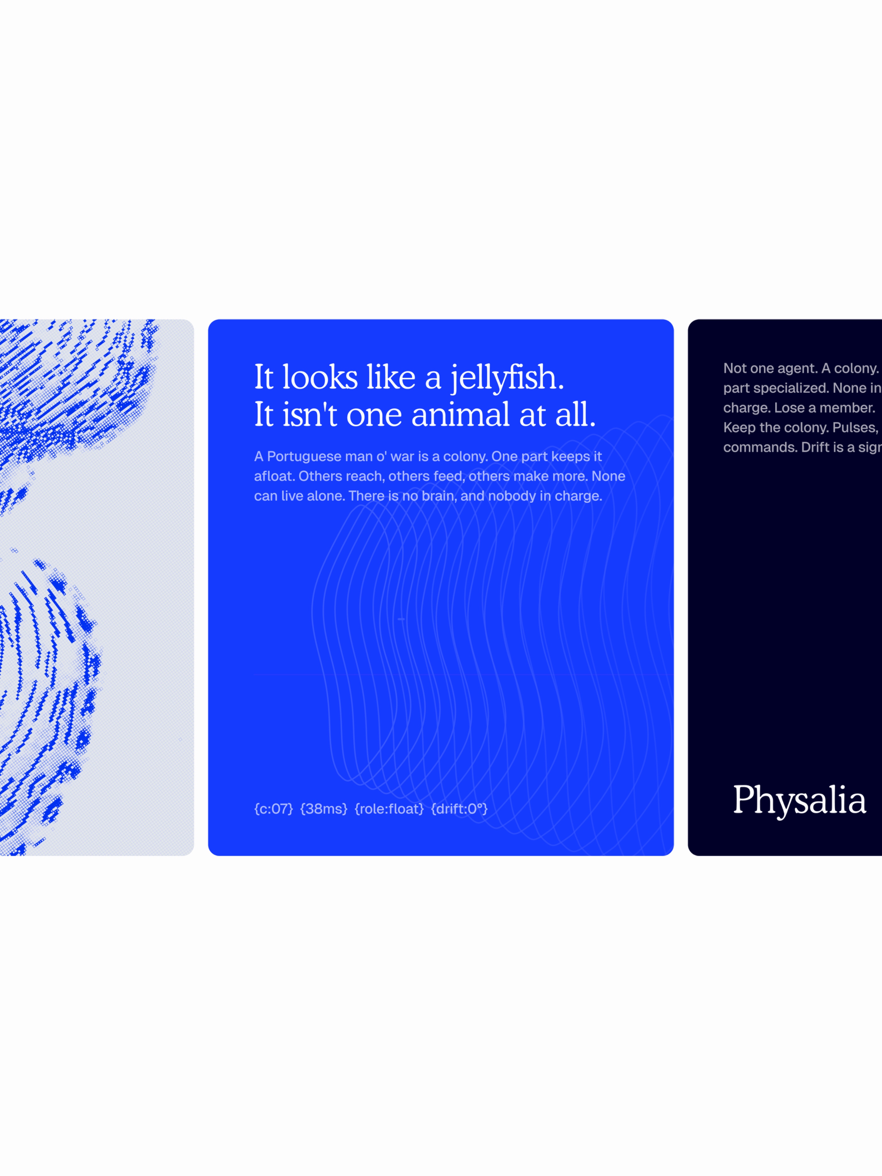 AI infrastructure brand identity study, image 3
