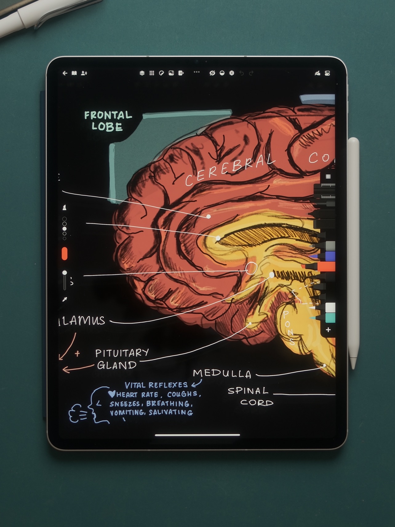 Flow, image 21